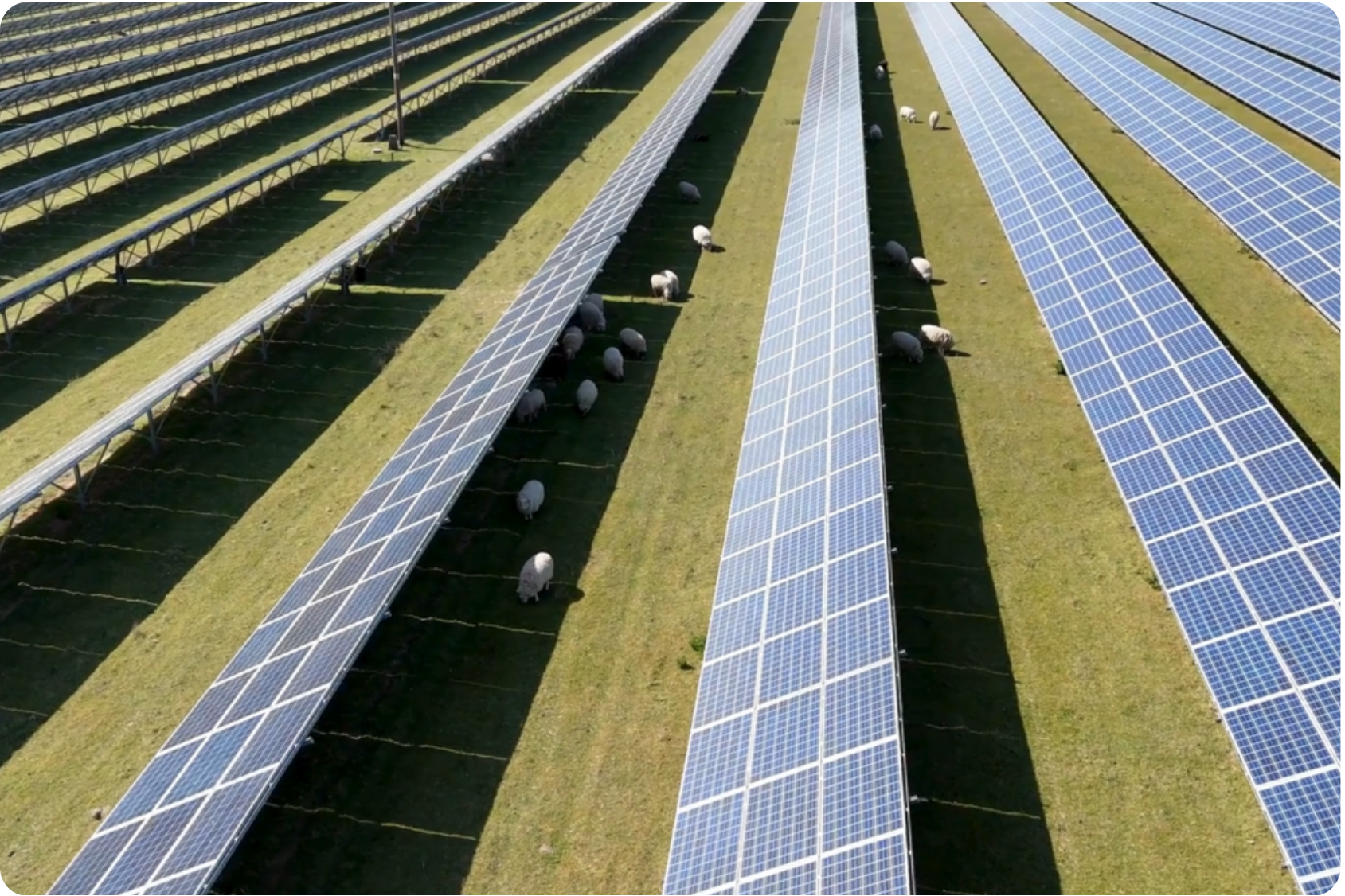 BLOG: Following the sun: how solar supports farming, food security and the rural economy