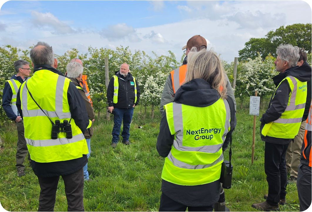 BLOG: Solar for Nature: Reflections from Langenhoe Solar Farm